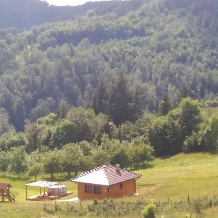 Bed and Breakfast Turizam Koturovic Ivanjica Esterno foto