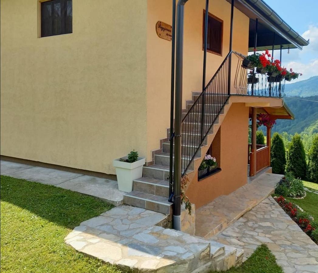 Bed and Breakfast Turizam Koturovic Ivanjica Esterno foto