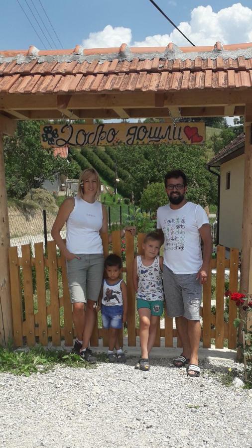Bed and Breakfast Turizam Koturovic Ivanjica Esterno foto