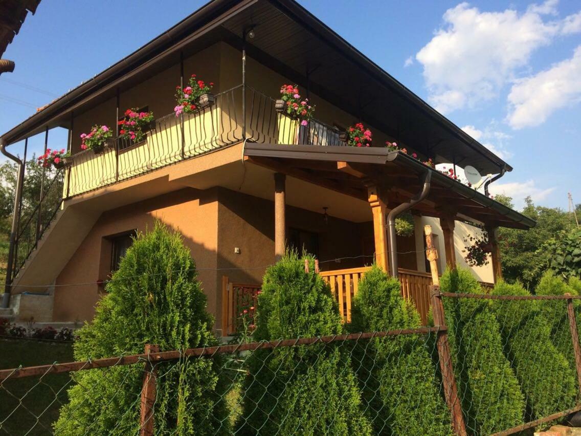 Bed and Breakfast Turizam Koturovic Ivanjica Esterno foto