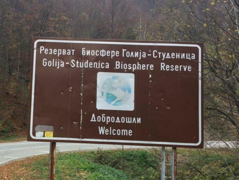 Bed and Breakfast Turizam Koturovic Ivanjica Esterno foto