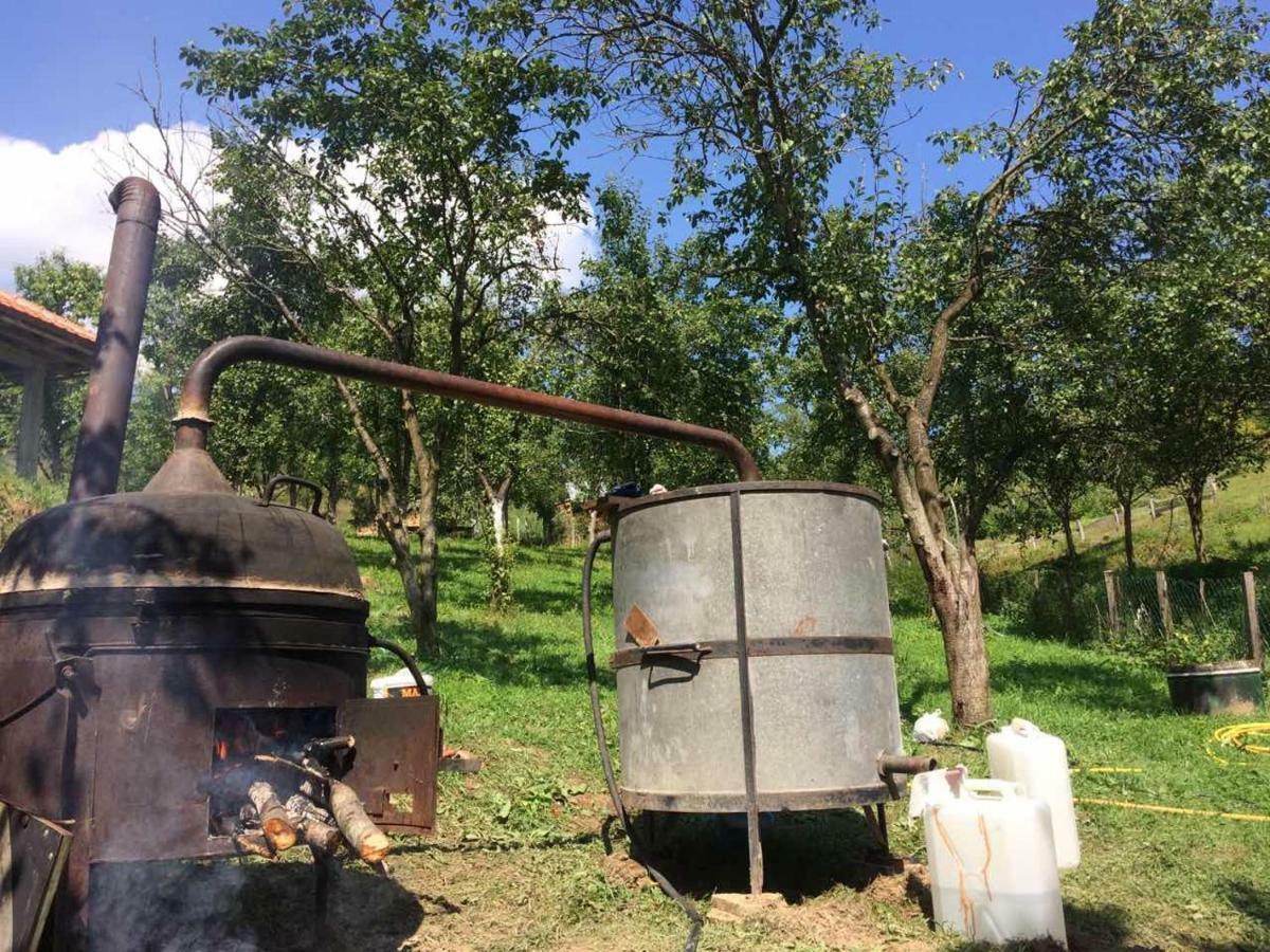 Bed and Breakfast Turizam Koturovic Ivanjica Esterno foto