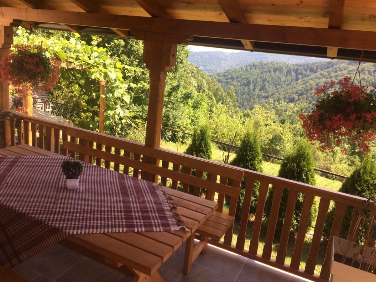 Bed and Breakfast Turizam Koturovic Ivanjica Esterno foto